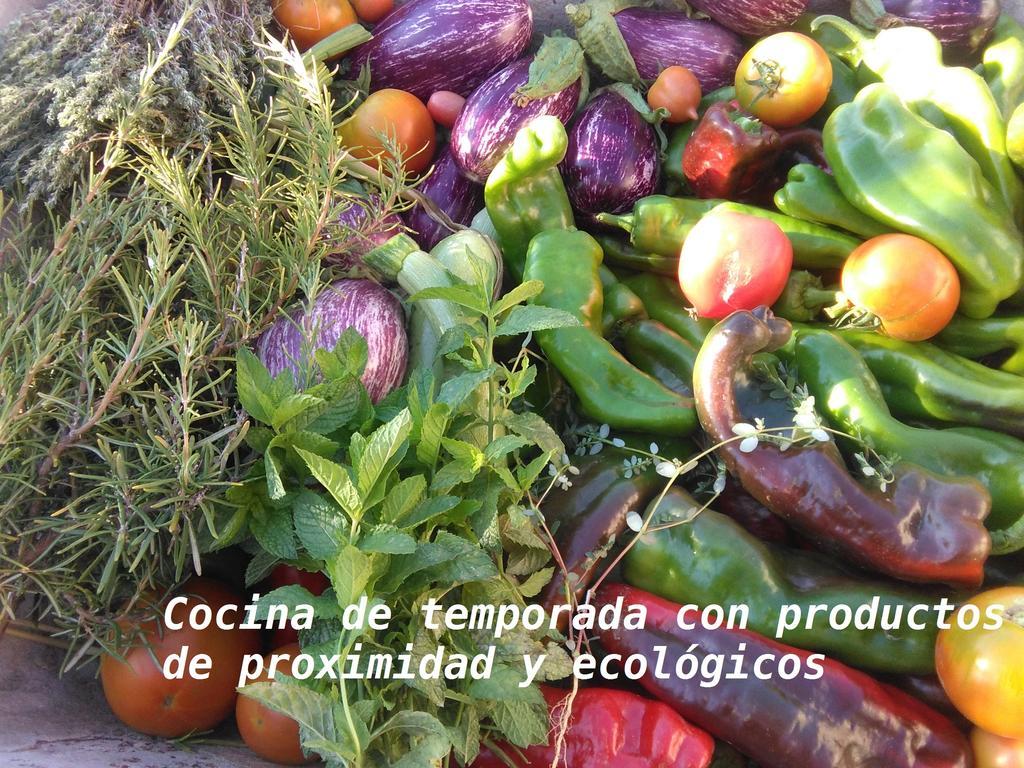 Pou De Beca Allotjaments I Agroturisme Vall dʼAlba Extérieur photo